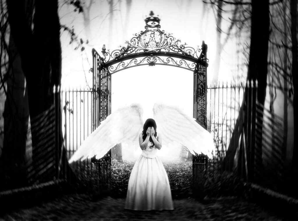 whipitdev onlyfans leaked