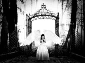 whipitdev onlyfans leaked