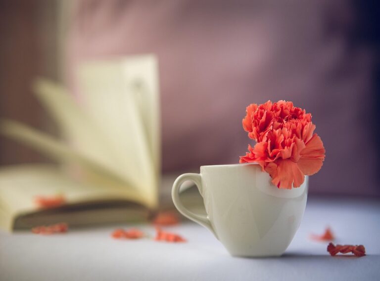10.0.0.1 piso wifi pause time machine